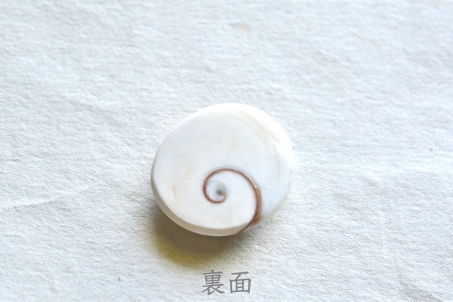 シヴァアイ【9】ルース・カボション（23×21mm）