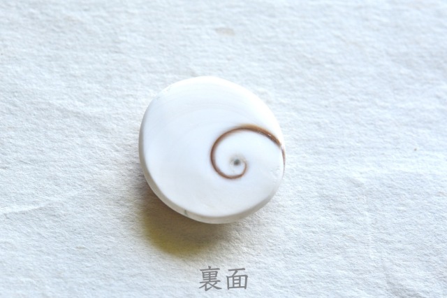 シヴァアイ【10】ルース・カボション（24×22.5mm）