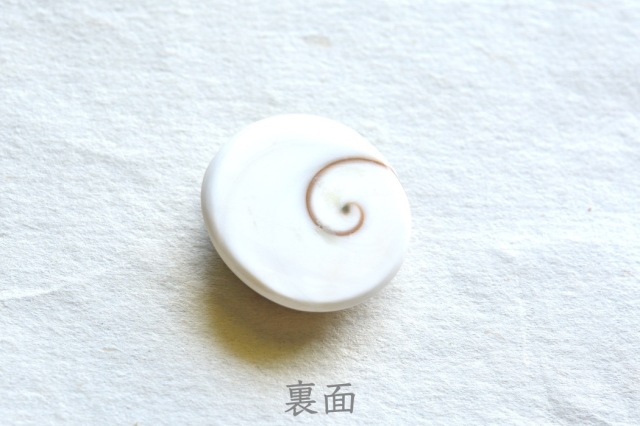 シヴァアイ【11】ルース・カボション（25×23.5mm）
