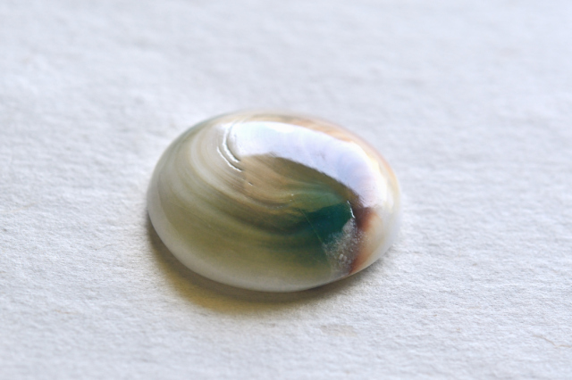 シヴァアイ【12】ルース・カボション（25×24mm）