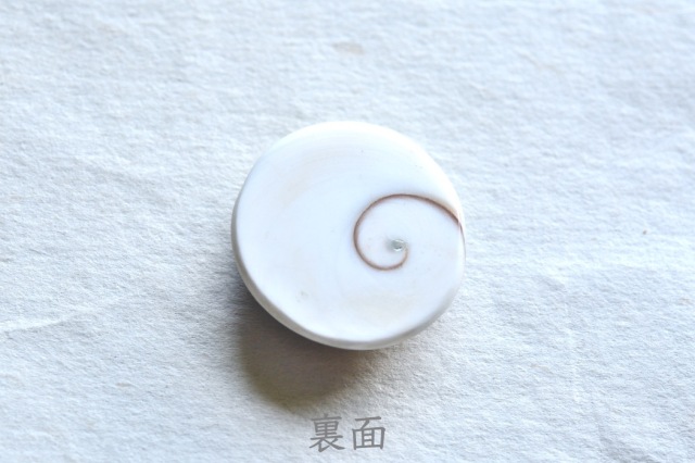 シヴァアイ【12】ルース・カボション（25×24mm）