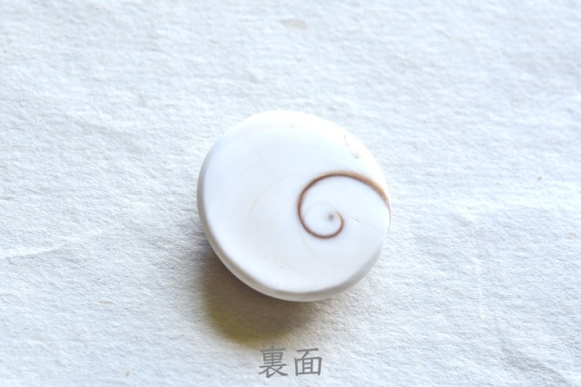 シヴァアイ【13】ルース・カボション（25×23.5mm）