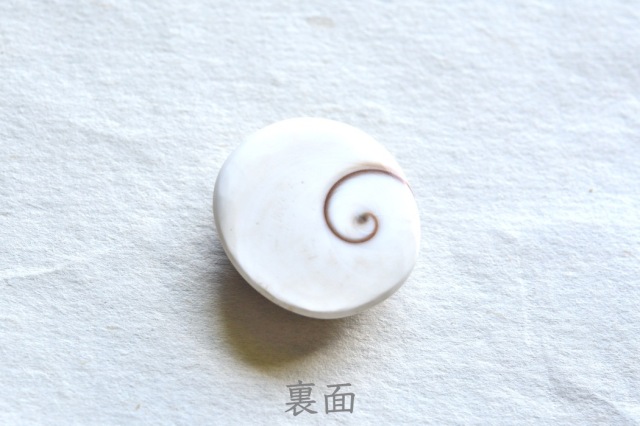 シヴァアイ【14】ルース・カボション（24×22mm）