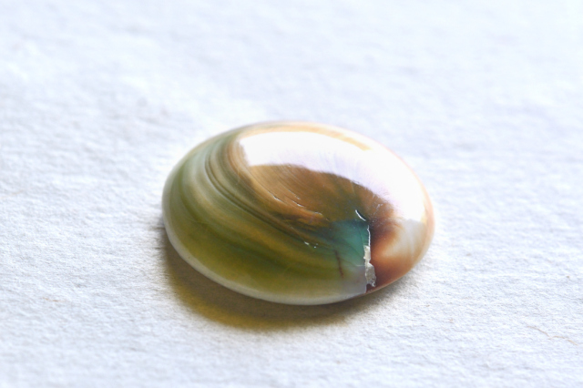 シヴァアイ【15】ルース・カボション（26.5×23mm）
