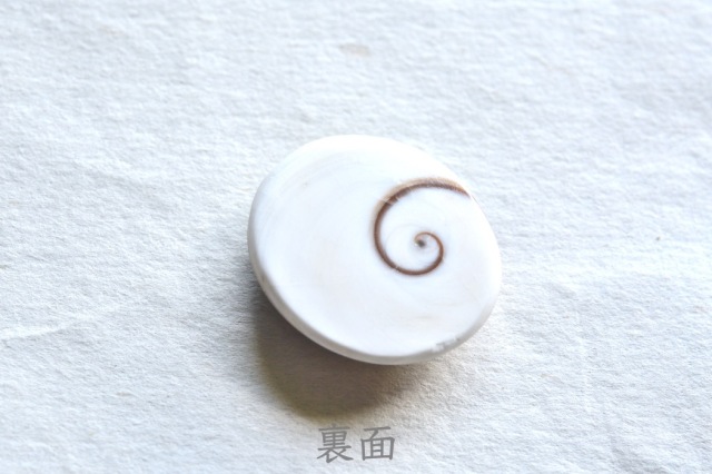 シヴァアイ【15】ルース・カボション（26.5×23mm）