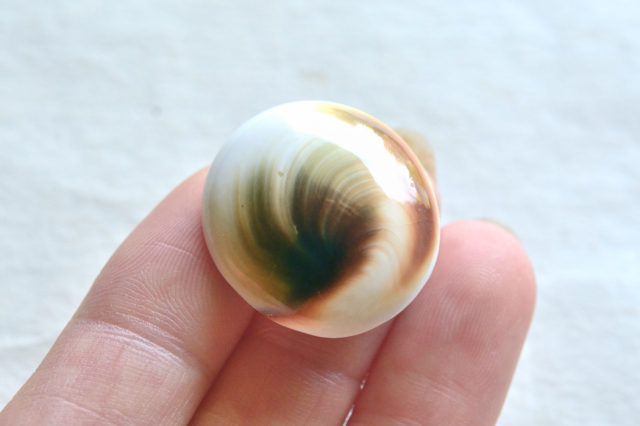 シヴァアイ【16】ルース・カボション（24.5×23mm）