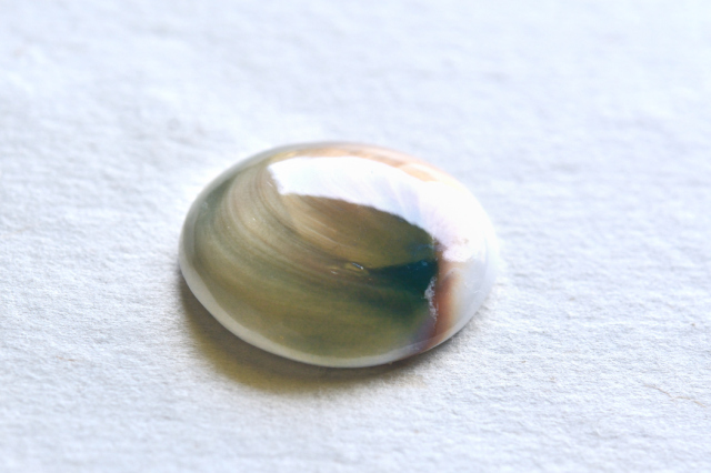 シヴァアイ【17】ルース・カボション（25.5×23.5mm）