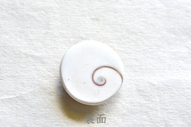 シヴァアイ【17】ルース・カボション（25.5×23.5mm）