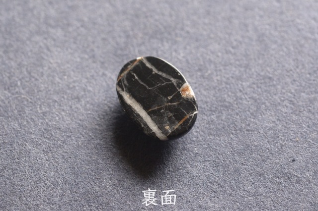 ホワイトバッファロー【3】（14×10mm）