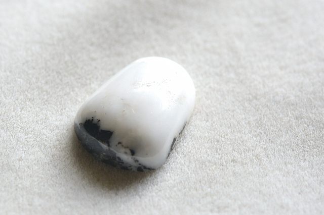 ホワイトバッファロー【11】（18×13.5mm）