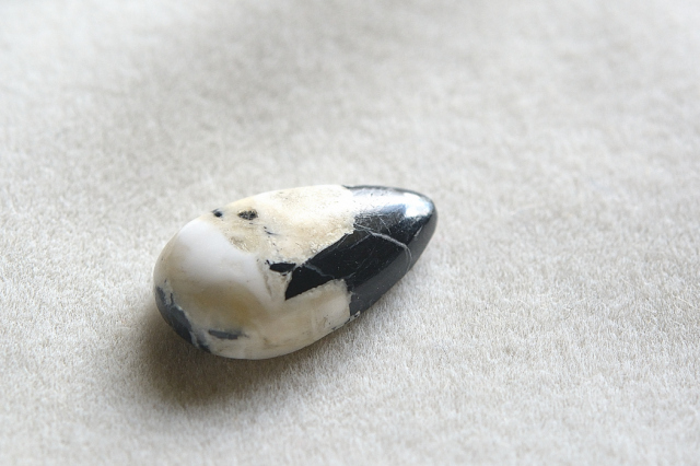ホワイトバッファロー【14】（17.5×10mm）