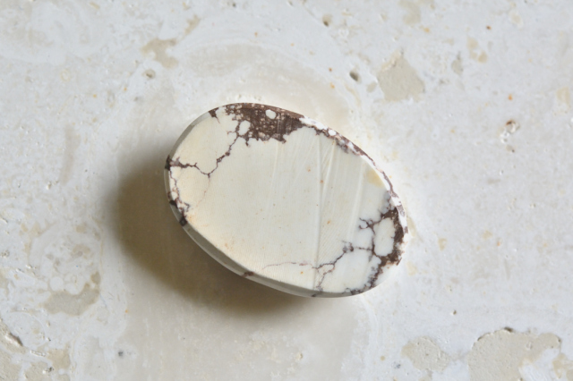 ワイルドホース【9】ルース・カボション（25.5×17mm）