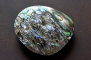 アバロンシェル【4】ルース・カボション（30.5×25.5mm）
