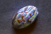 アバロンシェル【14】ルース・カボション（27.5×17mm）