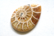 アンモナイト 化石【5】ルース・カボション（32×22.5mm）
