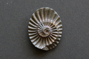 アンモナイト 化石【14】ルース・カボション（24×18.5mm）