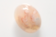チェリーブロッサムアゲート【4】天然石ルース・カボション（19.5×15mm）