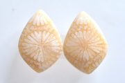 フォッシルコーラル（ペトリファイドコーラル）・ペア　穴あき【70】ルース・カボション　（19.5×13.5mm）