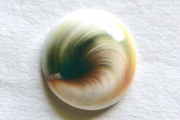 シヴァアイ【10】ルース・カボション（24×22.5mm）