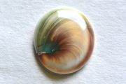 シヴァアイ【15】ルース・カボション（26.5×23mm）