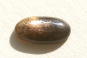 ブラックサンストーン・キャッツアイ【22】ルース・カボション（18×9mm）