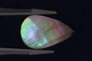 タヒチアンBMOP（ブラックマザーオブパール）【10】ルース・カボション（23.5×14.5mm）