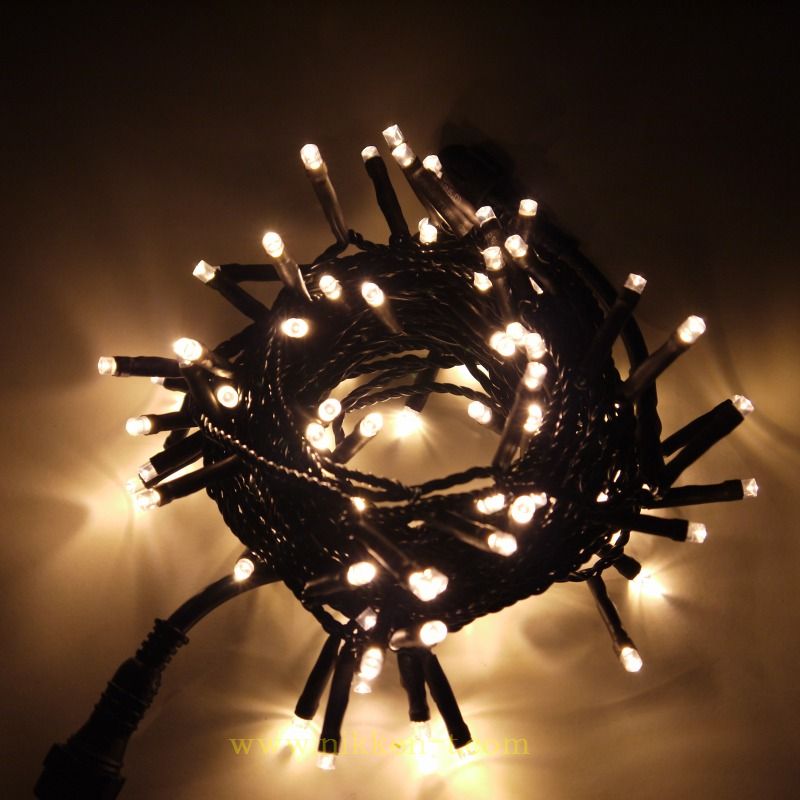 2芯ストリングライト　Ver.1　ブラックコード　ウォームキャンドル　※電源別売り　在庫限り