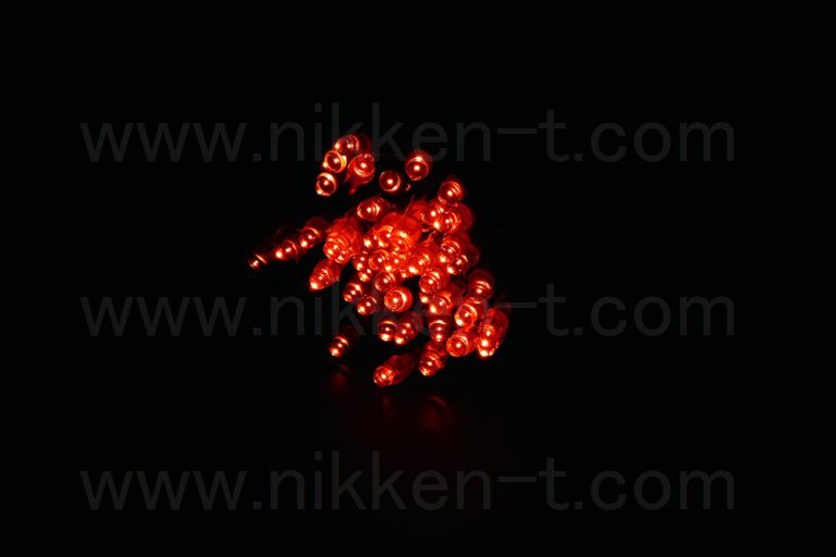 ※電源別売り　２芯ストリングライト　ブラックコード　RY2　オレンジ