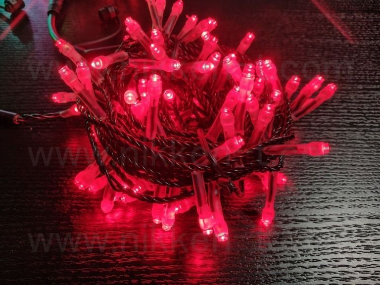 ※電源別売り　２芯ストリングライト　ブラックコード　RY2　ルビーレッド