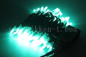 LEDイルミネーション、ストリング(ストレート)、2回路点滅、プロ仕様(V4)、100球、黒コード、アクアグリーン(薄緑)