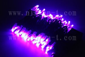 LEDイルミネーション、ストリング(ストレート)、2回路点滅、プロ仕様(V4)、100球、黒コード、パープル