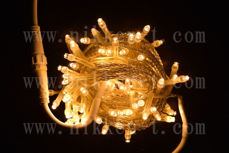 ２芯ストリングライト　クリアコード　Ver.2　ウォームホワイト　アウトレット　※電源別売り　在庫限り