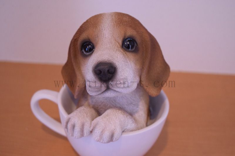 ティーカップ　ビーグル