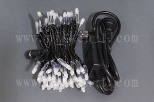 LEDイルミネーション、ストリング(ストレート)、常点、プロ仕様(V4