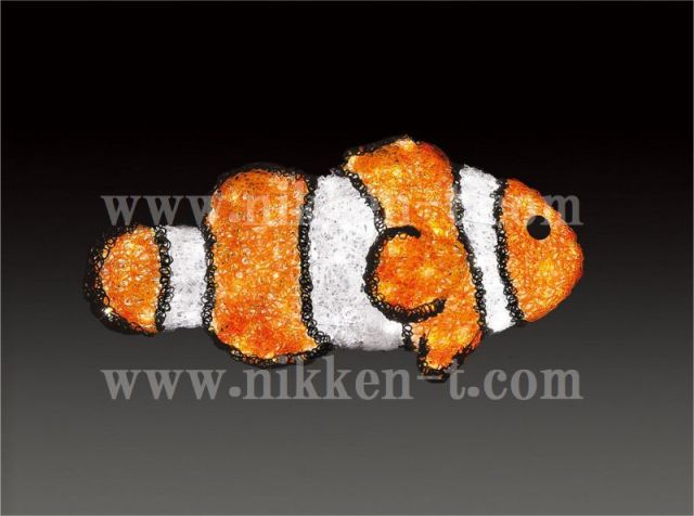 カクレクマノミ カクレクマノミ【沖縄産】4-5cm | 海水魚図鑑（過去入荷）,海水