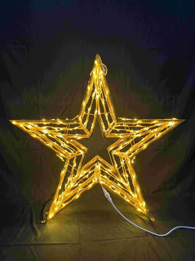 イブニングスター100 ゴールド　送料別途要