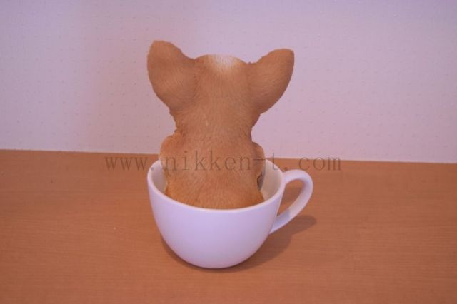 ティーカップ チワワ