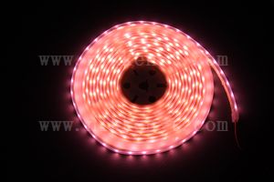 防水型LEDテープライト、SMD3528型(R3)、ピンク、300球、5m巻、白基板、シリコンチューブ、IP65、部品別売り、エンド側コード無し