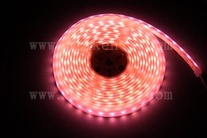 防水型LEDテープライト、SMD5050型(R3)、ピンク、300球、5m巻、白基板、シリコンチューブ、IP65、部品別売り、エンド側コード無し