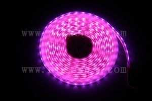 防水型LEDテープライト、SMD5050型(R3)、パープル、300球、5m巻、白基板、シリコンチューブ、IP65、部品別売り、エンド側コード無し