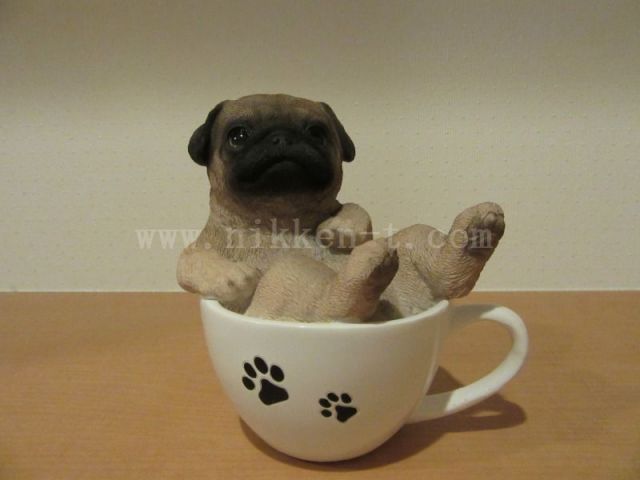 ティーカップ パグ
