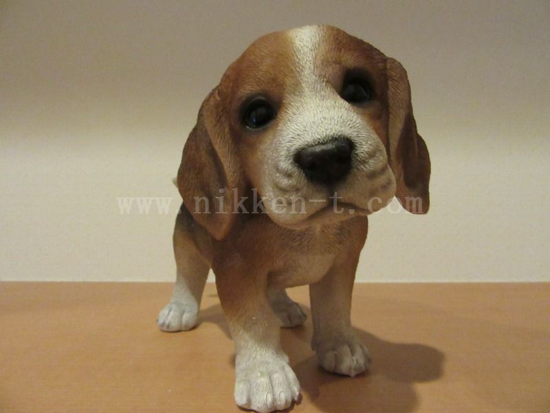 ビーグル　こども　