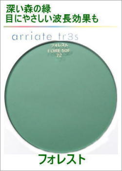 アリアーテトレスのレンズカラー（フォレスト）グリーン系のサングラスカラー