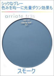 アリアーテトレスのレンズカラー（スモーク）グレー系のサングラスカラー