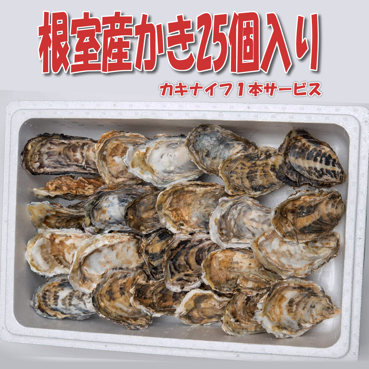 牡蠣たん 真牡蠣｜岩手県 釜石産『尾崎牡蠣（オサキカキ）』特大Lサイズ