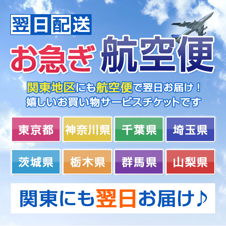 関東でお急ぎの方に！ お急ぎ航空便チケット 東京・神奈川・千葉・埼玉・茨城・栃木・群馬・山梨に翌日お届け