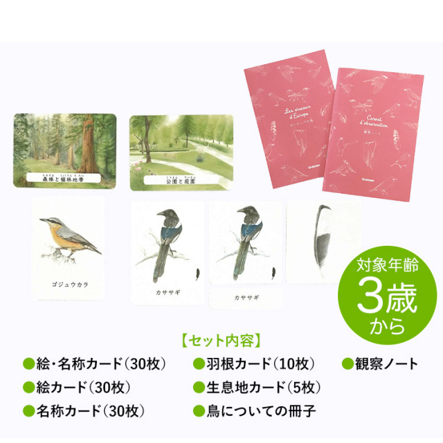 家庭でできるモンテッソ-リ（全３巻セット） ＤＶＤ付き/学研教育出版（単行本） 家庭でできるモンテッソ－リ（全3巻セット） - 紀伊國屋書店