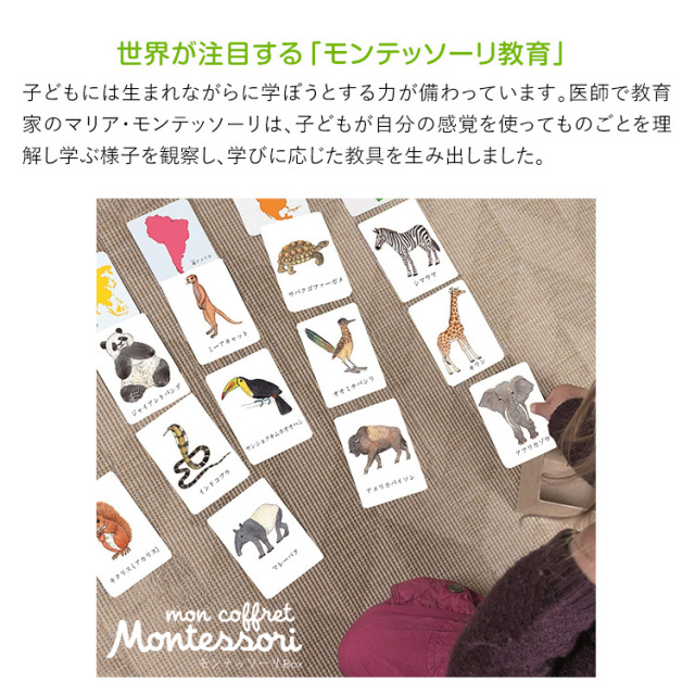 学研 モンテッソーリ BOX どうぶつ 動物 教具 知育玩具 3歳 4歳 5歳