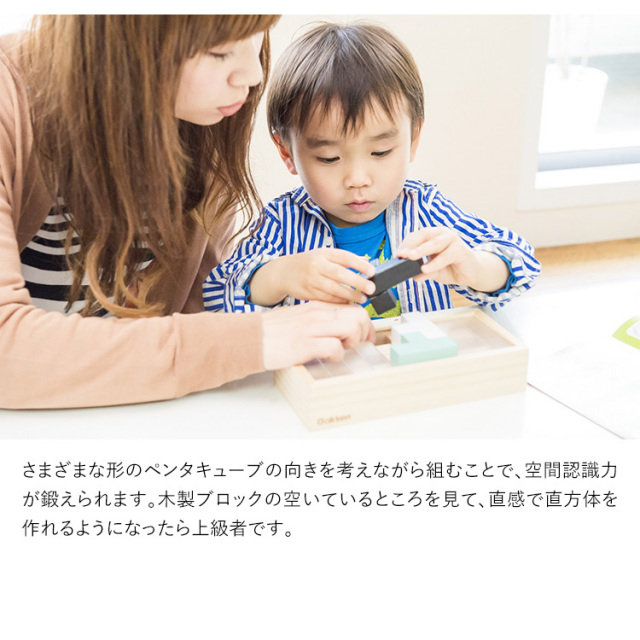 有名ブランド ピタゴラスモザイクパズルたんぐらむ立体パズル頭
