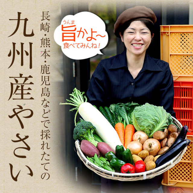 野菜セット 九州産 産直 野菜 詰め合わせ 7品 国産 九州 宅配 お